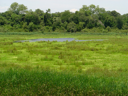 Национальный парк Чако